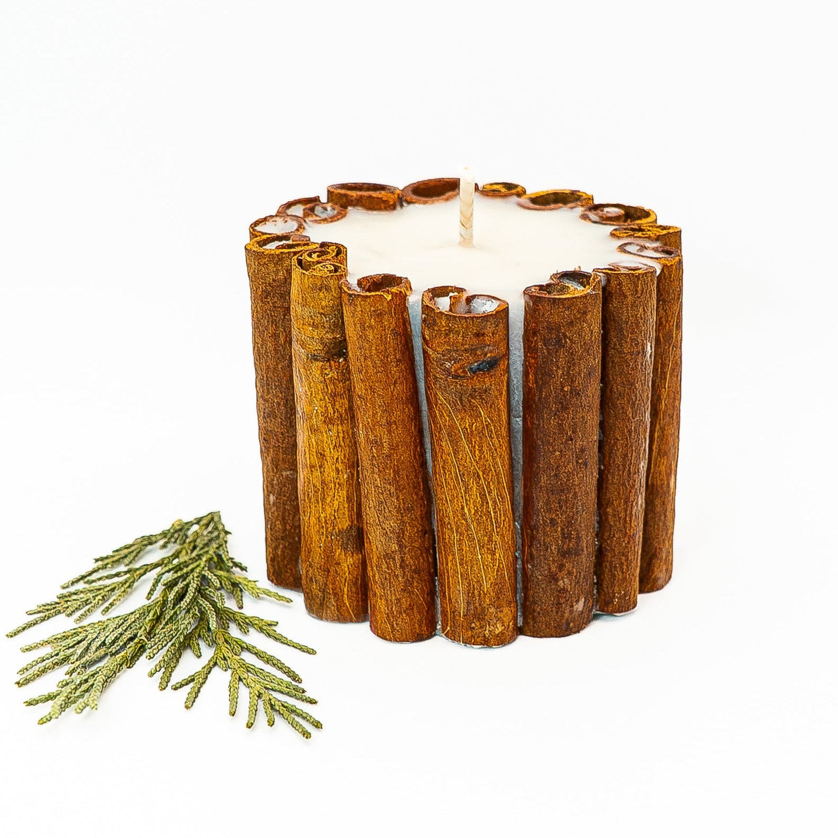 Soy wax Christmas pillar candle surrounded by cinnamon sticks, with a thuja sprig beside it on a white background.